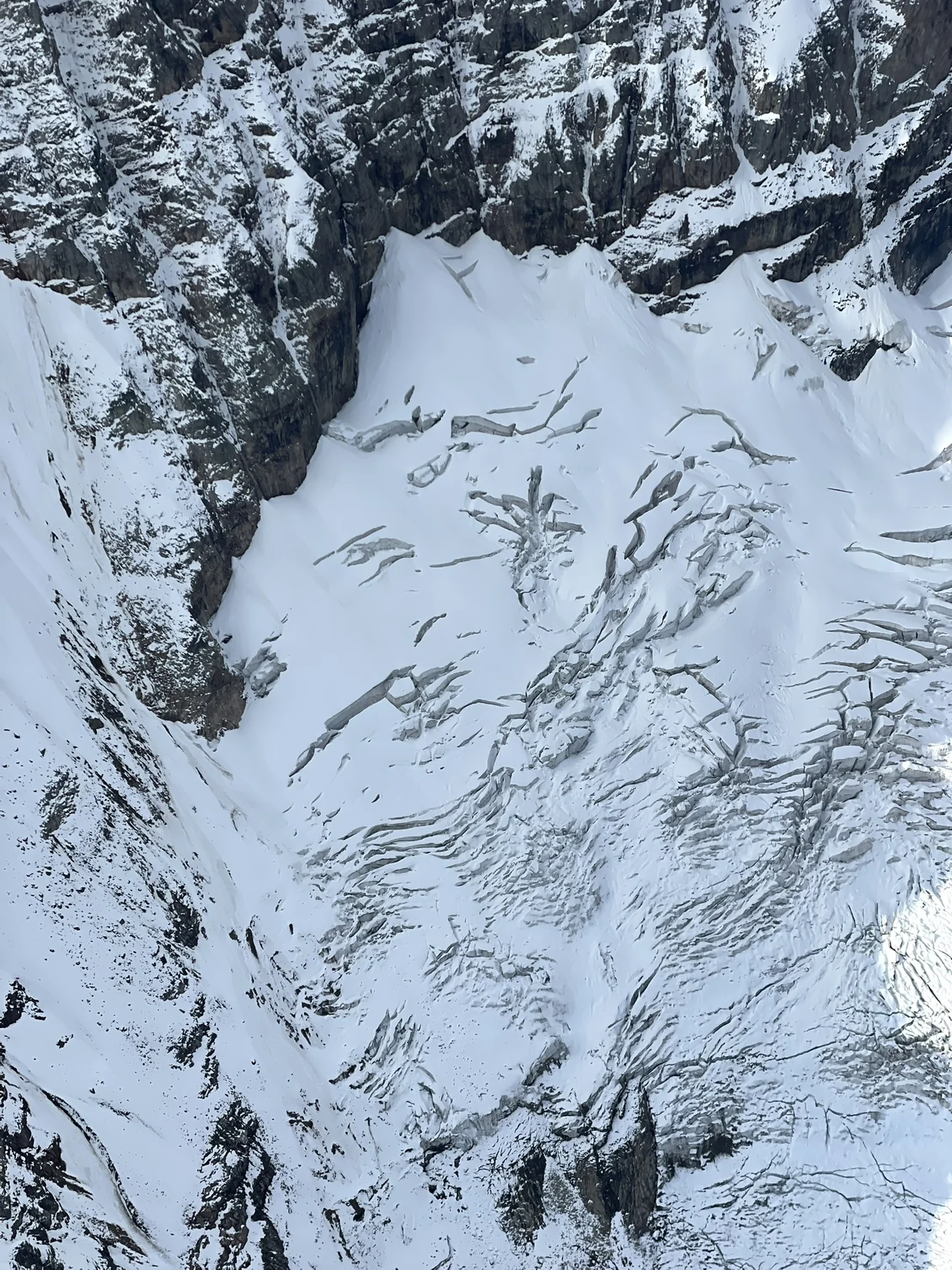 Flying above Glacier
